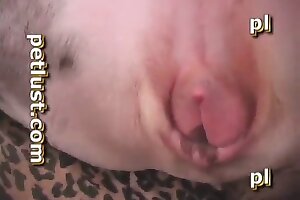 closeup zoo porn,zoo sex tube