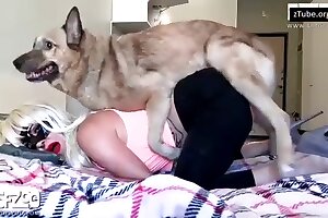 pasja pornografija, hd video posnetki živalskega vrta, azijska zverščina, živalska pornografija, zoo pornografija, zoofilija, bestialnost pornografija, bestialnost seks, živalski seks, živalski seks, živalska pornografija, živalska pornografija