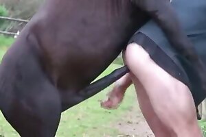 เพศสัตว์ หลอดสัตว์, sex-movie,  เซ็กซ์ในสวนสัตว์, หลอดสวนสัตว์, หลอดสัตว์ในสวนสัตว์, dog-xxx,  animal-porn