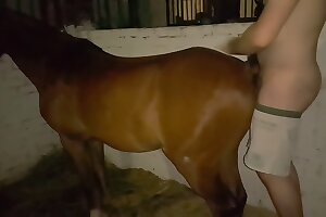 videos zoophilia,zoofilia porn