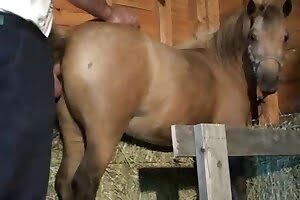 passionate zoo sex,pussy